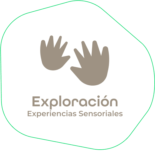 Exploración sensorial en el entorno Montessori