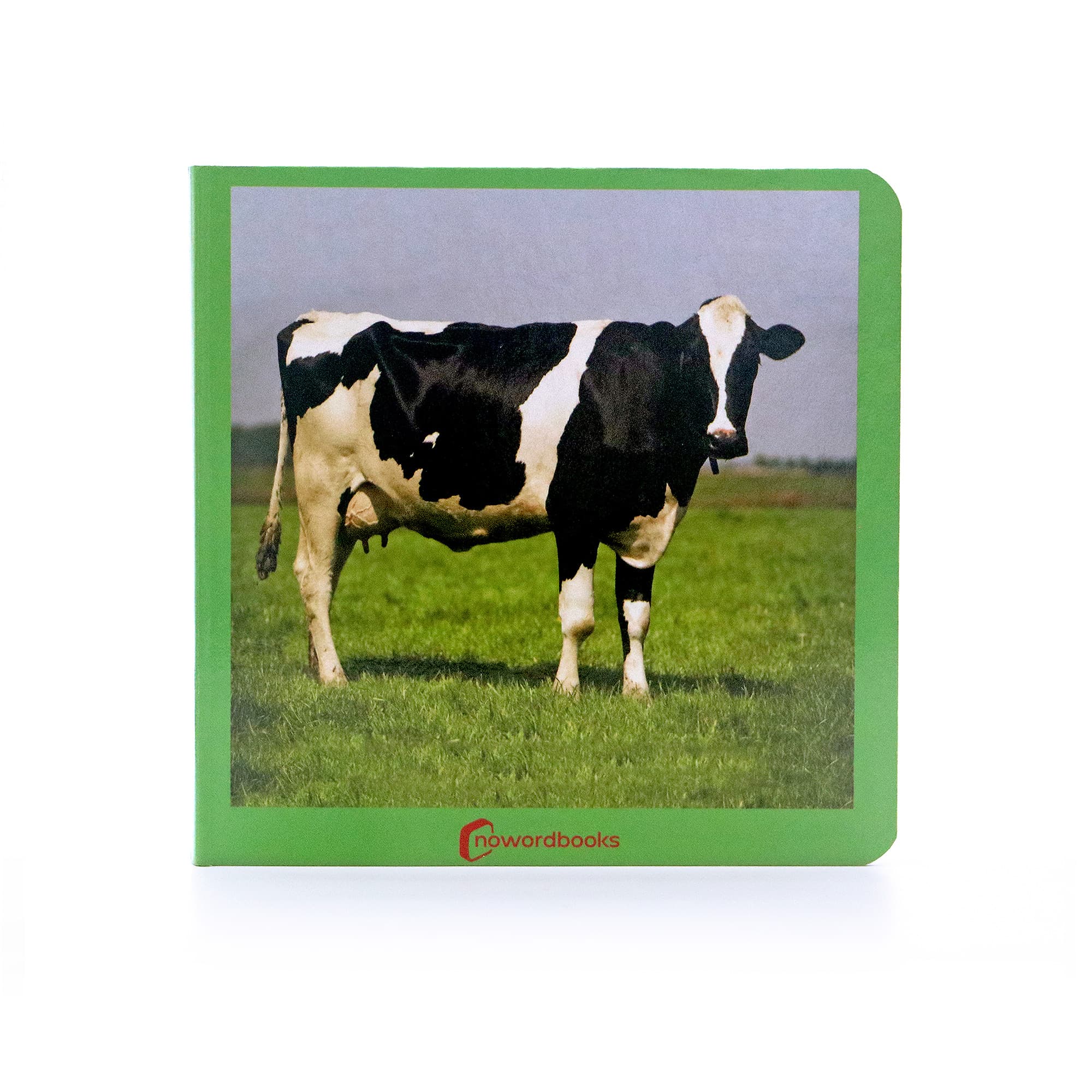 libro-animales.jpg