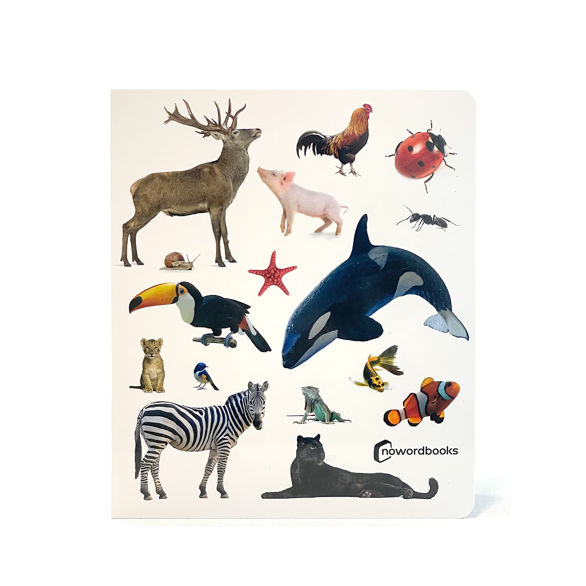 libro-animals_cara.jpg
